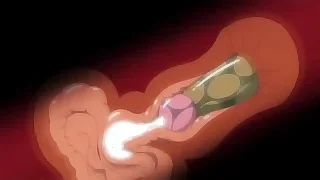 XXX Gay Fuck 15
